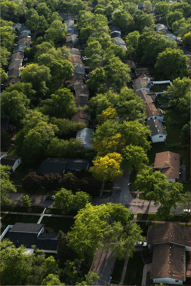 Aerial image of a neighborhood with tall old trees.